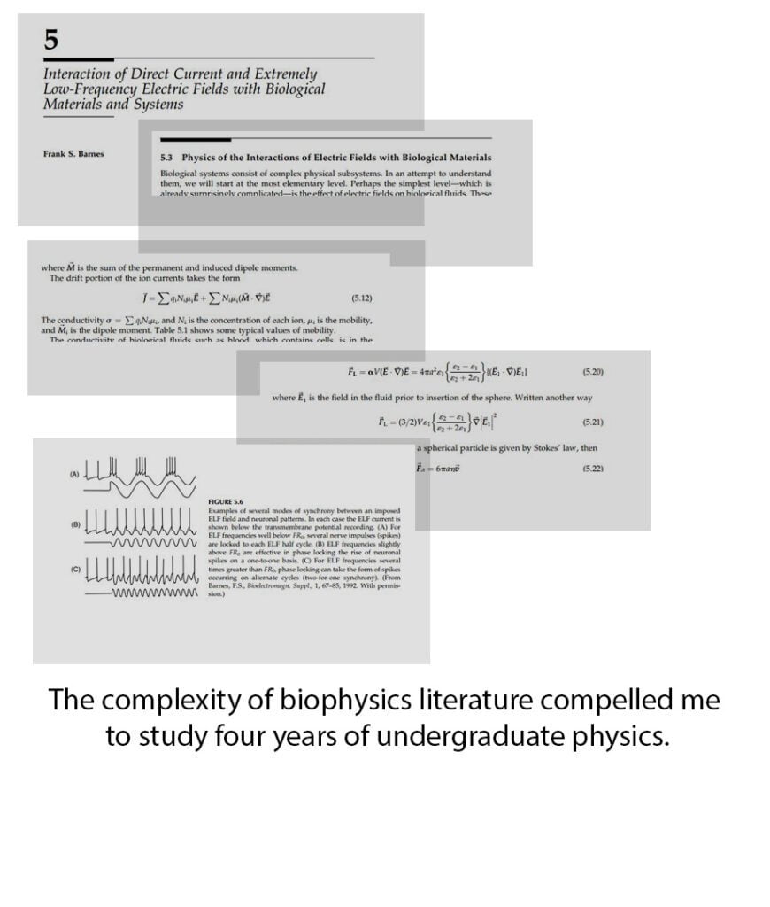 Dr. Carlos Loredo Ritter made a compilation of notes about the damage of EMFs in human tissue