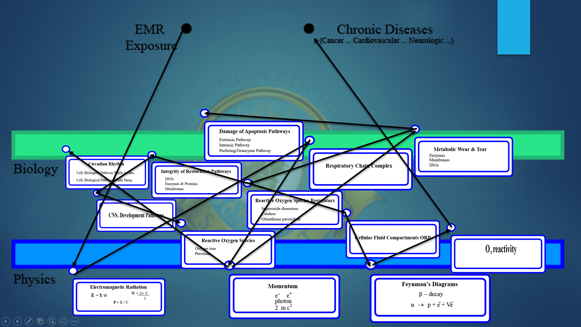 Lecture from Dr. Loredo Ritter, connecting EMF Exposure to Chronic Devastating Diseases, going from deep biochemistry to deep physics