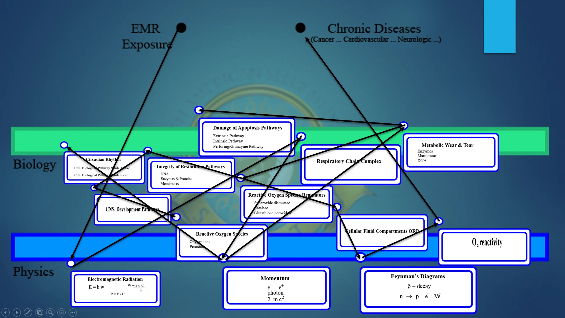 Lecture from Dr. Loredo Ritter, connecting EMF Exposure to Chronic Devastating Diseases, going from deep biochemistry to deep physics